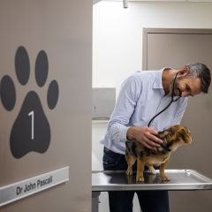 1Y7A9880-2.jpg